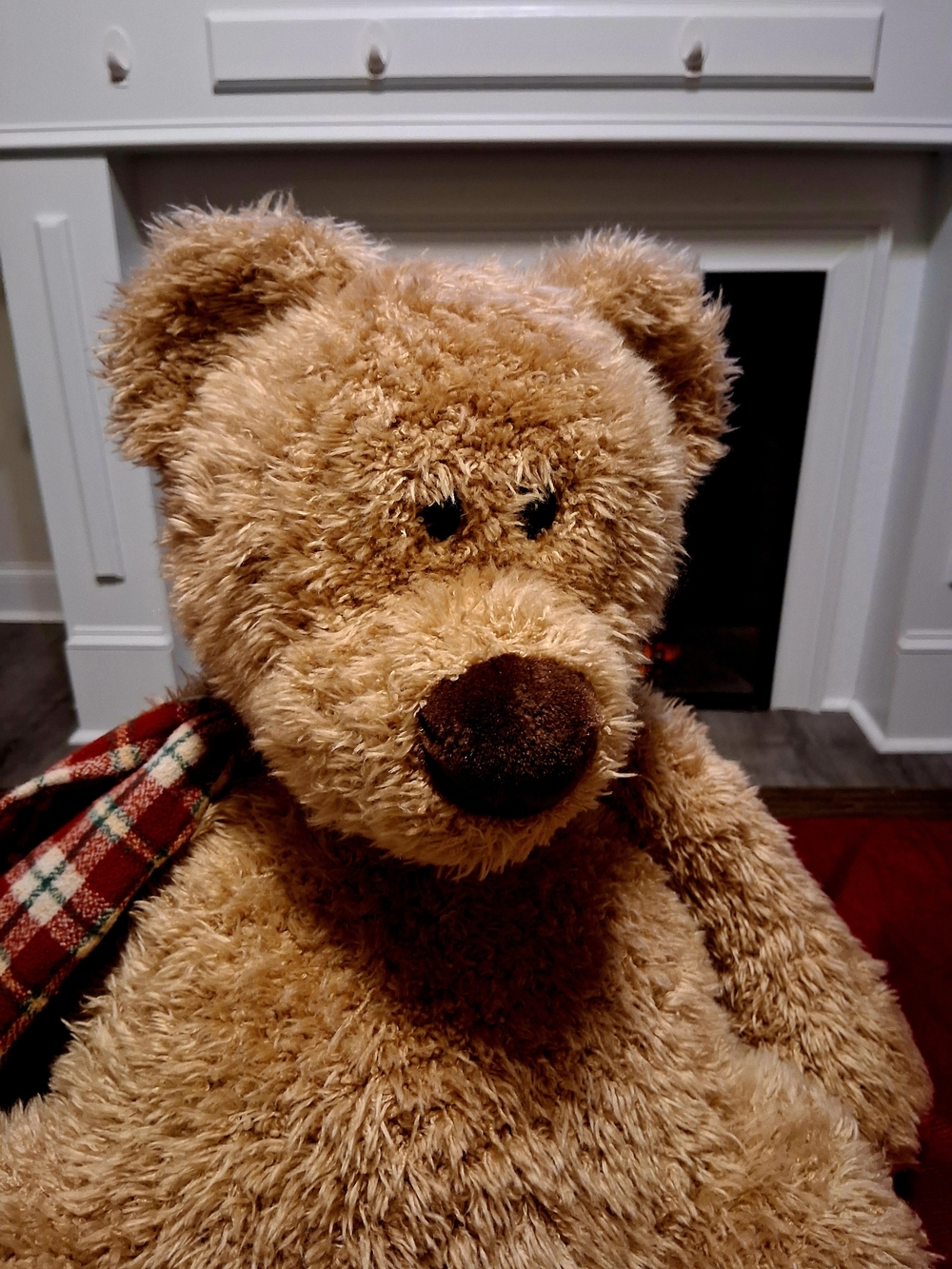 Gund Winter Bear - Picture 3 of 5
